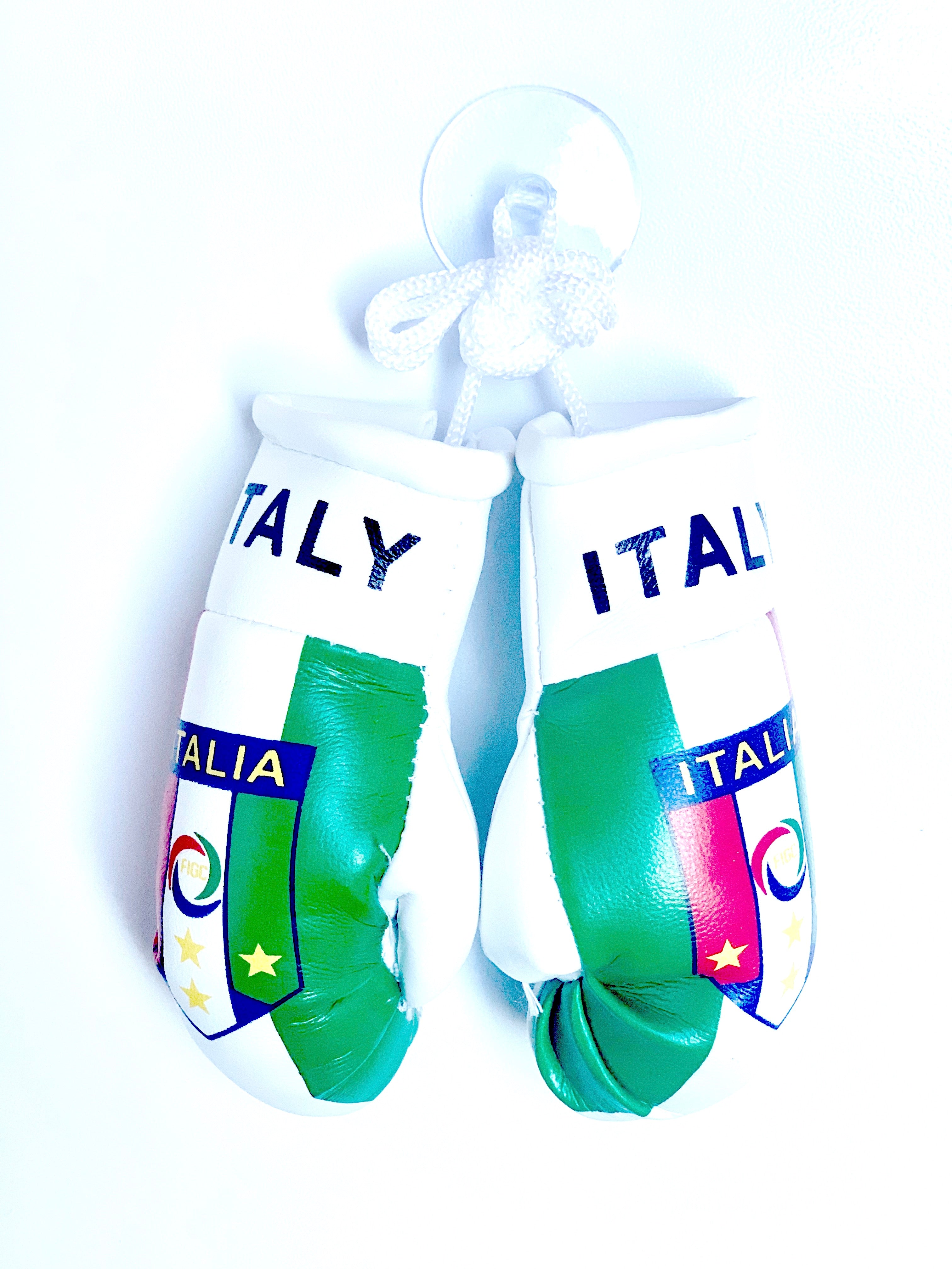 mini boxing gloves Italy ( Italia / Italian / country gloves / boxing gloves / gifts / hanging gloves / car gloves )