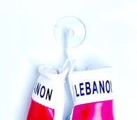 mini boxing gloves Lebanon ( Lebanese / country gloves / boxing gloves / gifts / hanging gloves / car gloves )