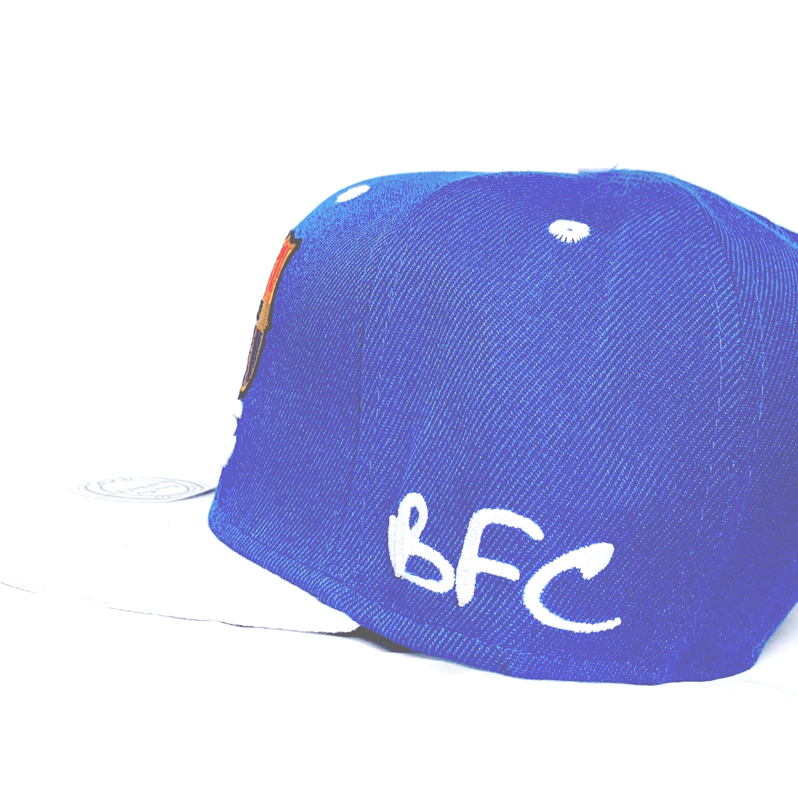 snapback blue Barcelona cap( barca hat / Barcelona cap / Barcelona hat / Barca cap / team caps / Messi cap )