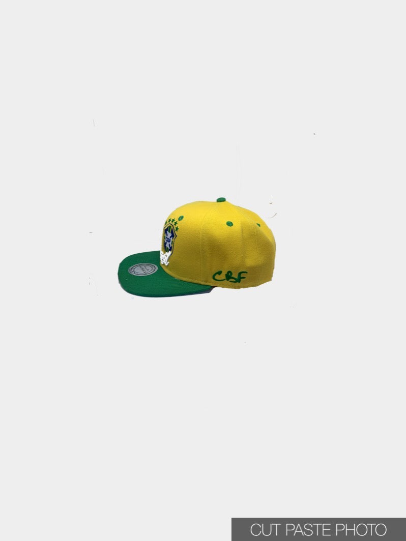 snapback Brazil ( Brasil cap / Brazilian hat / Brazilian cap / country cap / Brasilian hat / harmony day)