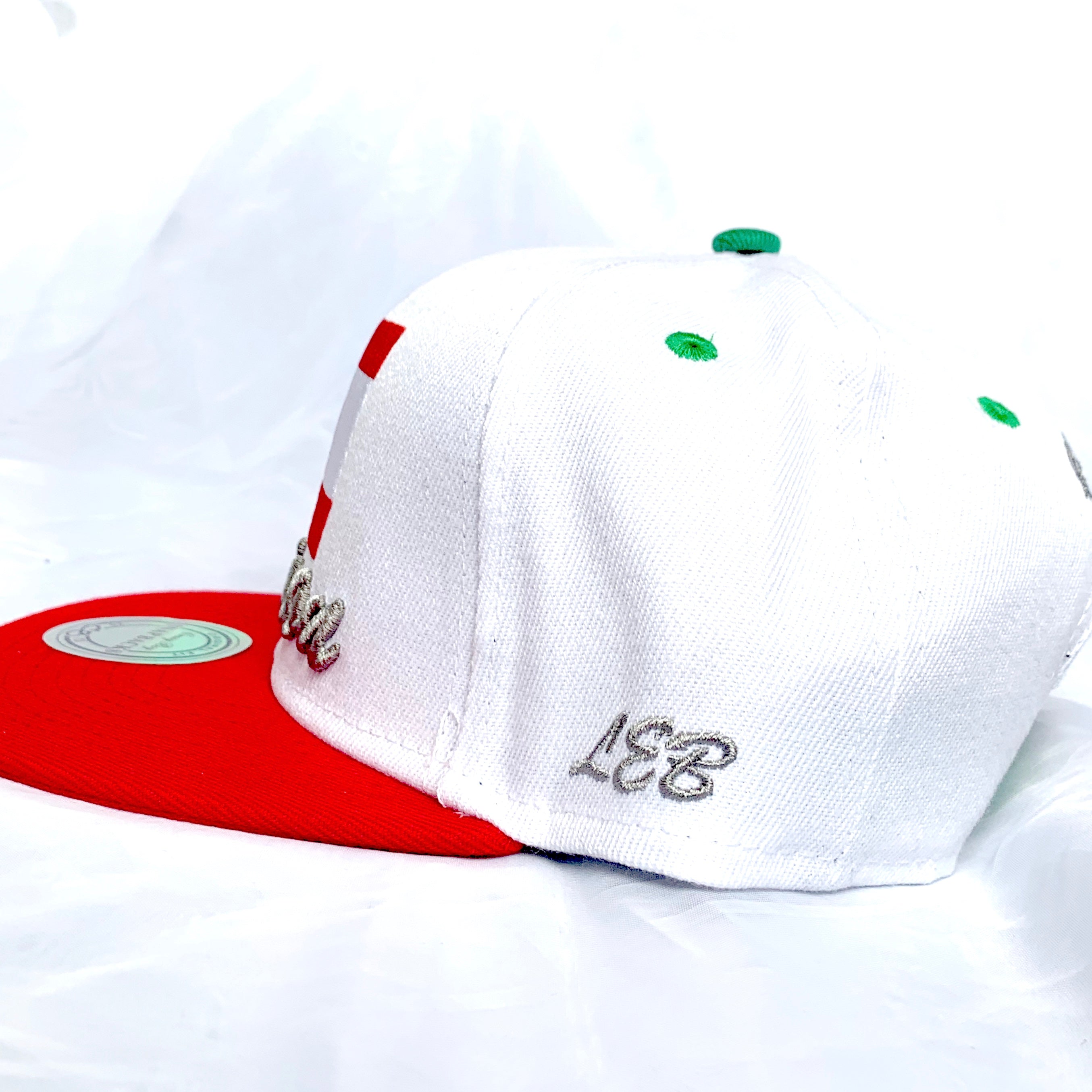 snapback Lebanon cap ( / Lebanon cap / Lebanese hat / Lebanese cap / country hat / country cap / harmony day)