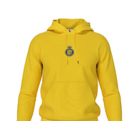 Al nassr hoodie jumper 24/26( yellow/  Ronaldo training jacket / warm up jacket / Harmony day /  jersey / Brazil jumper)