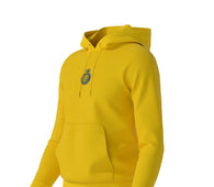 Al nassr hoodie jumper 24/26( yellow/  Ronaldo training jacket / warm up jacket / Harmony day /  jersey / Brazil jumper)