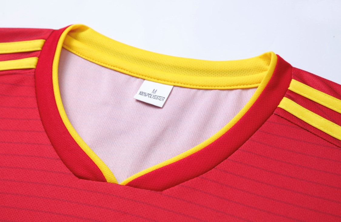 Football Jersey Macedonia Pandev  #number10 (soccer jersey / Harmony day / football / specials / Macedonian jersey / soccer shirt specials)