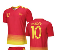 Football Jersey Macedonia Pandev  #number10 (soccer jersey / Harmony day / football / specials / Macedonian jersey / soccer shirt specials)
