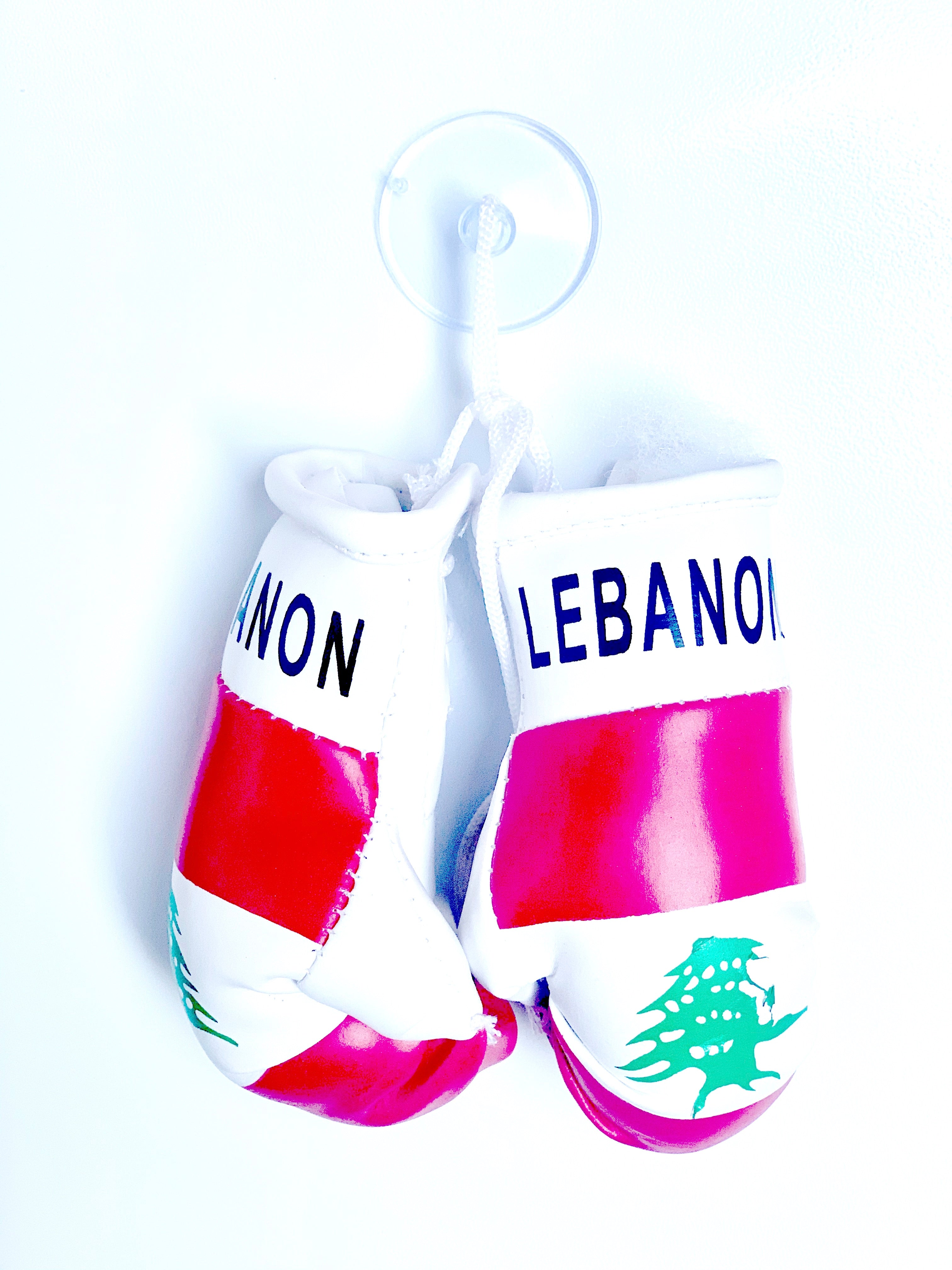mini boxing gloves Lebanon ( Lebanese / country gloves / boxing gloves / gifts / hanging gloves / car gloves )