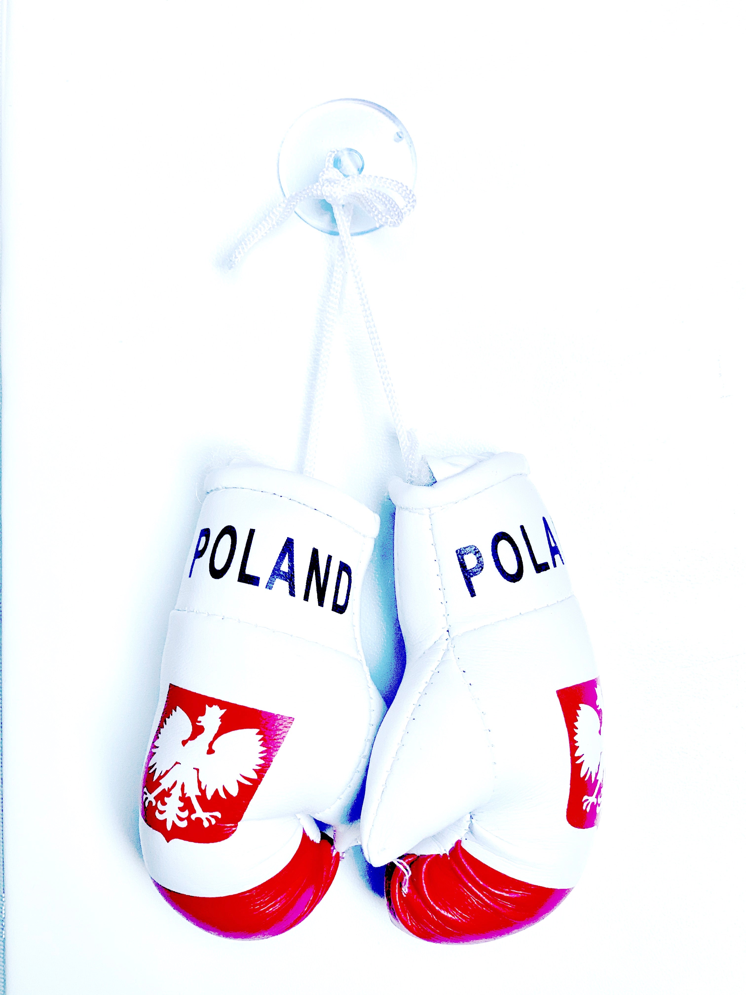 mini boxing gloves Poland ( country gloves / boxing gloves / gifts / hanging gloves / car gloves )