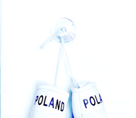 mini boxing gloves Poland ( country gloves / boxing gloves / gifts / hanging gloves / car gloves )