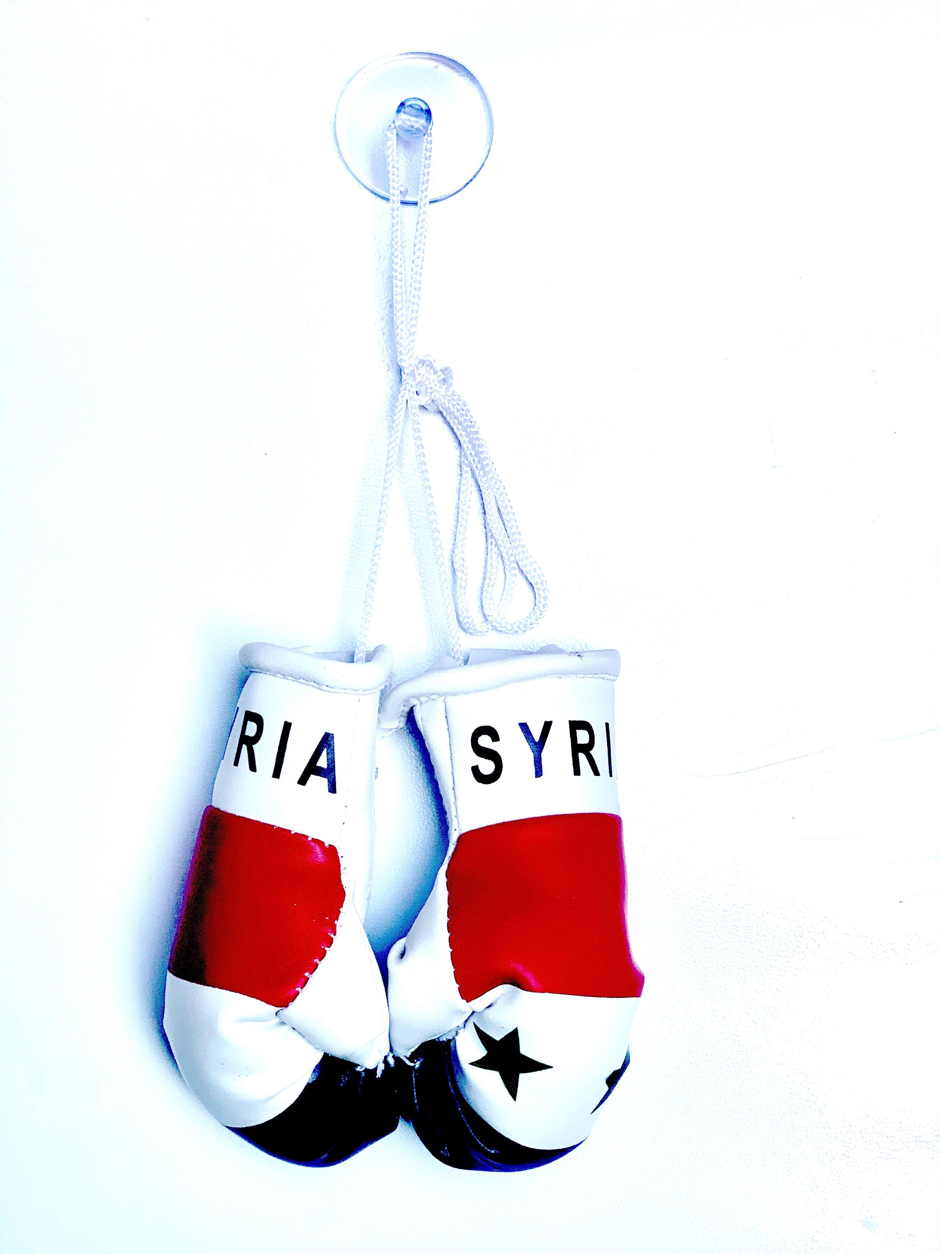 mini boxing gloves Syria ( Syrian / country gloves / boxing gloves / gifts / hanging gloves / car gloves )