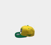 snapback Brazil ( Brasil cap / Brazilian hat / Brazilian cap / country cap / Brasilian hat / harmony day)