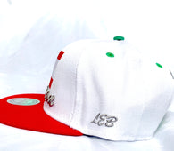 snapback Lebanon cap ( / Lebanon cap / Lebanese hat / Lebanese cap  / country hat / country cap / harmony day)